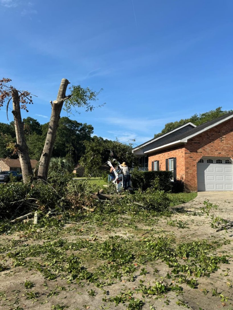 Lion Tree Service and Landscaping LLC project photo 42